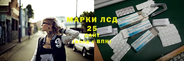 прущие грибы Алексеевка