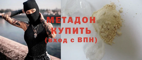 гашик Алексин