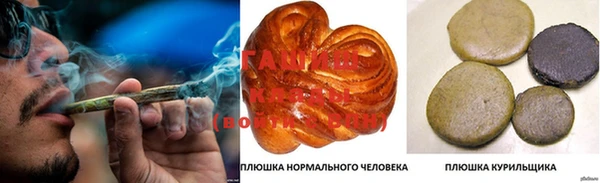 гашик Алексин