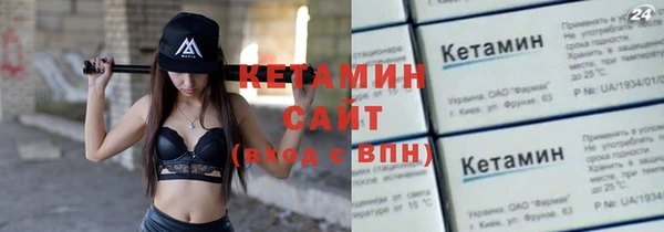 гашик Алексин