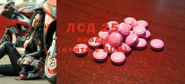 гашик Алексин