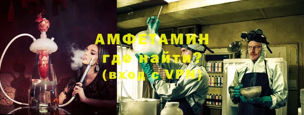 гашик Алексин